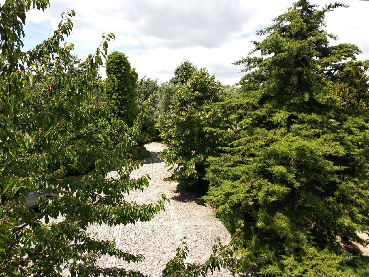 Quinta da Telheira Vila Real Exterior foto