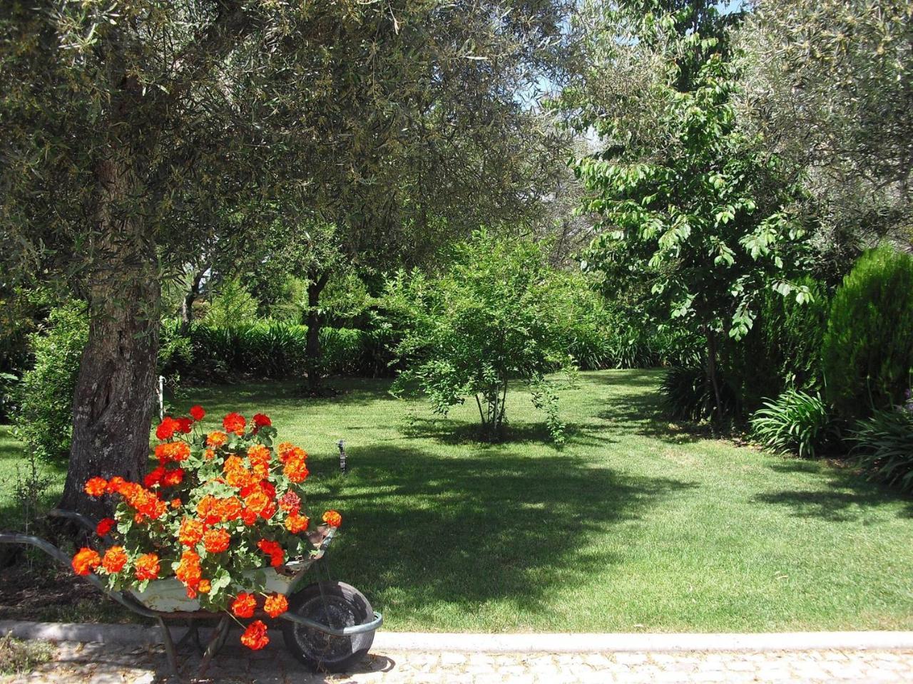 Quinta da Telheira Vila Real Exterior foto